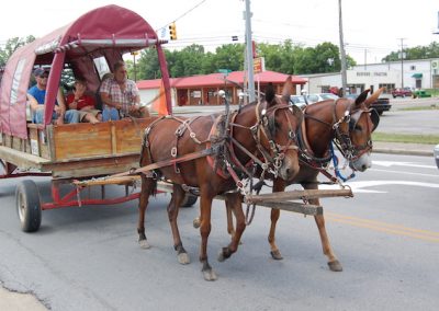 Mule Show